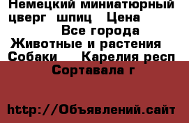 Немецкий миниатюрный(цверг) шпиц › Цена ­ 50 000 - Все города Животные и растения » Собаки   . Карелия респ.,Сортавала г.